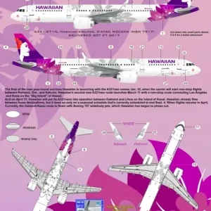 8aDecs 7909-407-144 Hawaiian 2017 A321 Neo Pas Cher